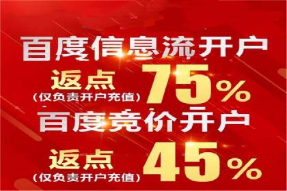 百度竞价排名案例解析：如何快速提升网站流量